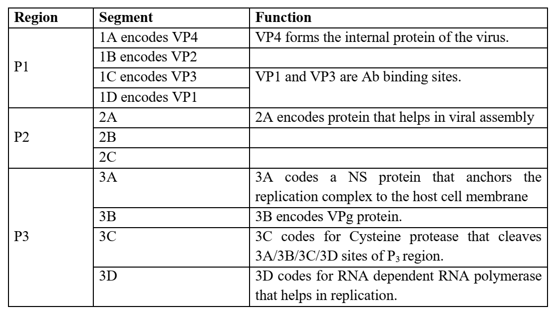 Image Online Biochemistry Notes